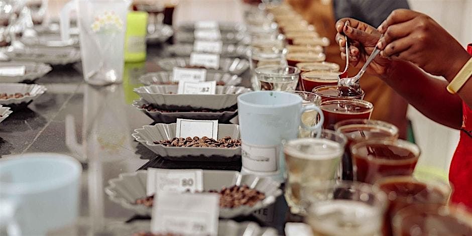 Infusion Coffee and Tea: International Coffee Tasting