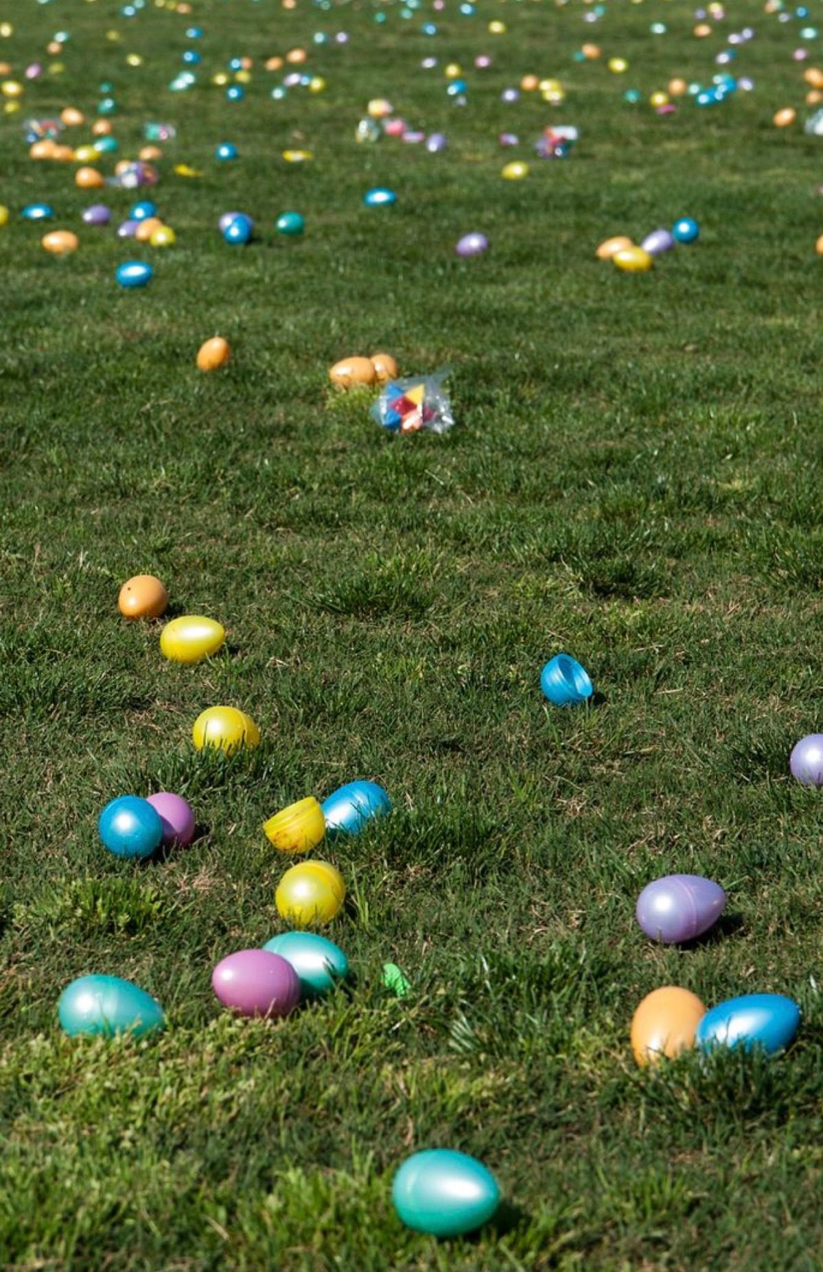 Easter egg hunt! 