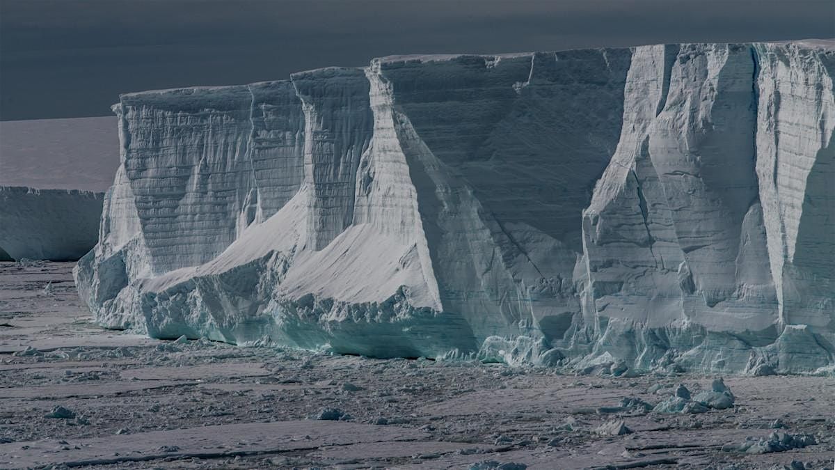 Global impacts  of climate extremes in the polar regions