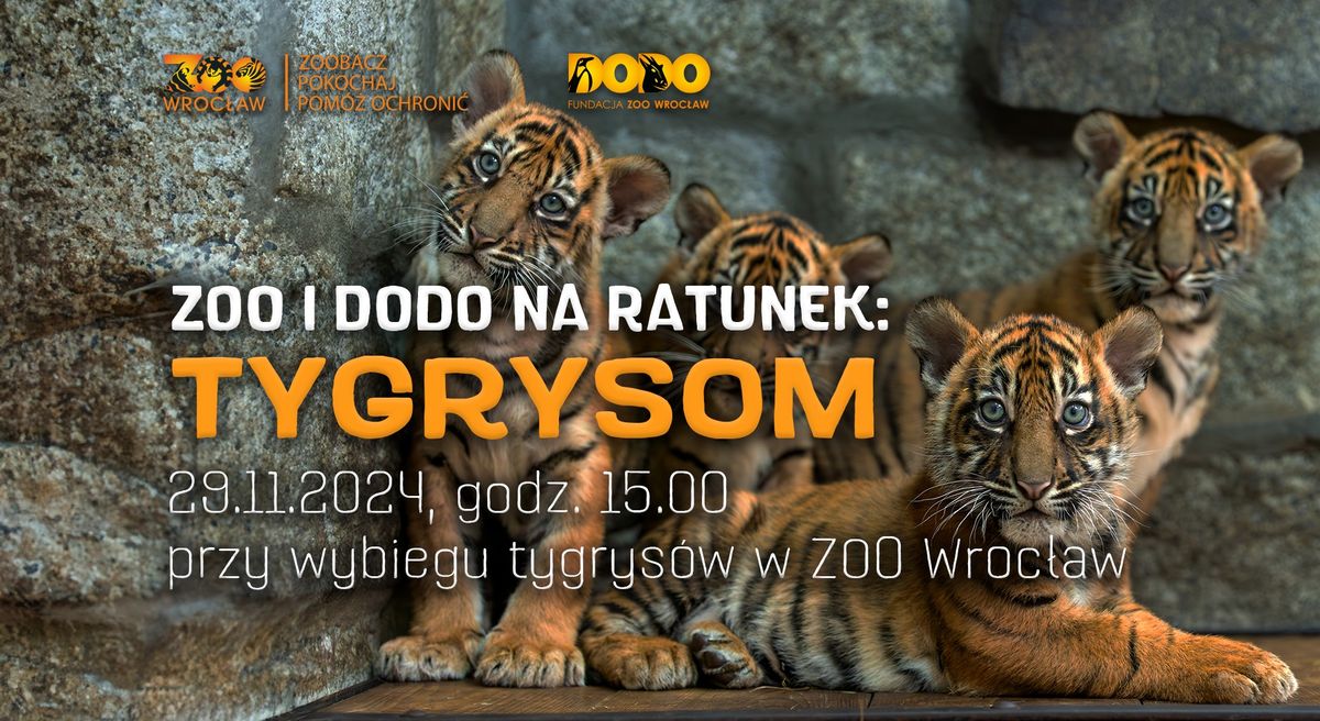 ZOO i DODO na ratunek: Tygrysom