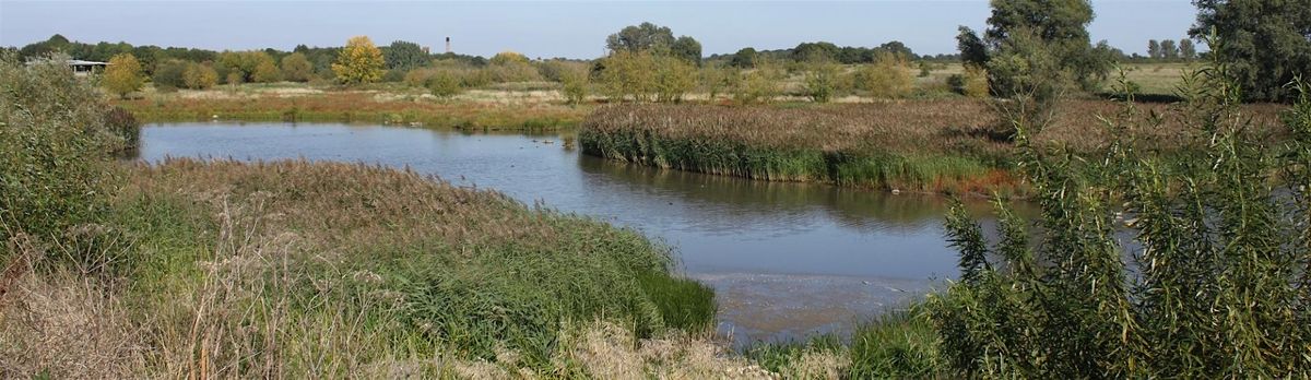 Ingrebourne Monthly Wildlife Walking Safari for Adults