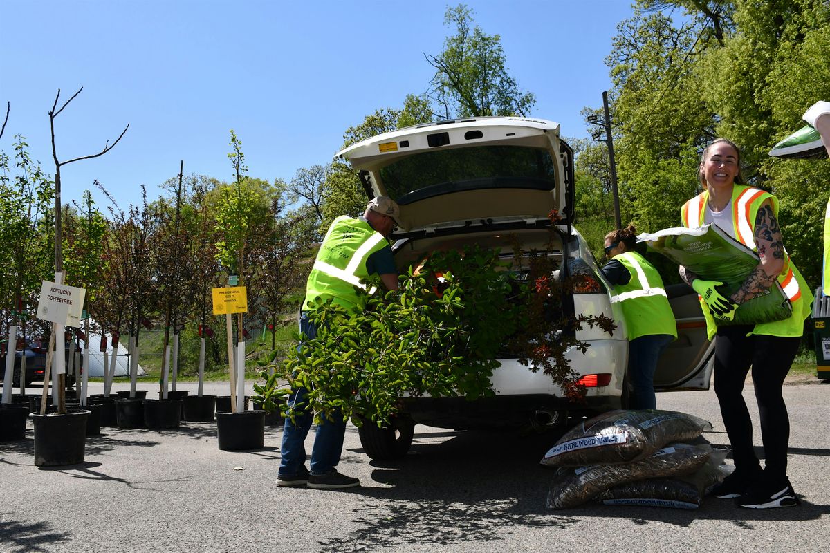 Minneapolis Tree Distribution - Saturday