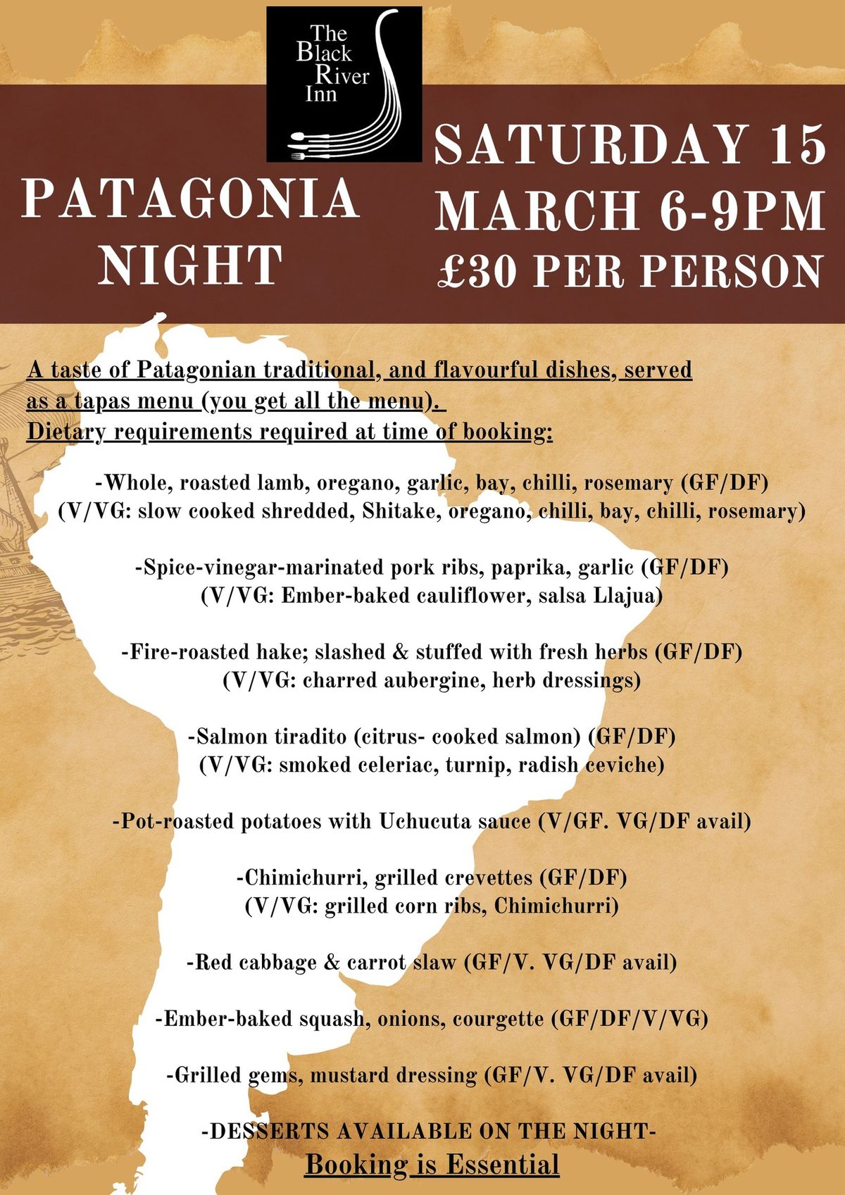 Patagonia Night