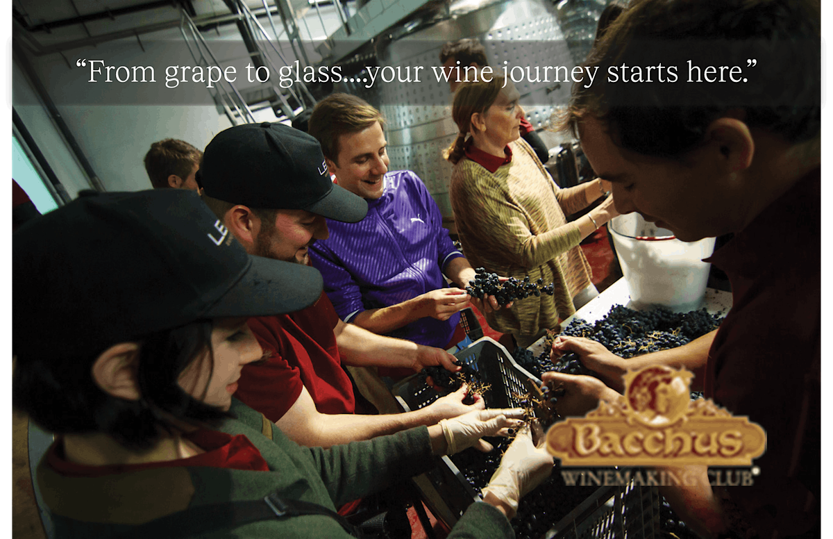 You Be the Winemaker \u2014 Craft It. Bottle It. Love It.  Harvest at Domenico!