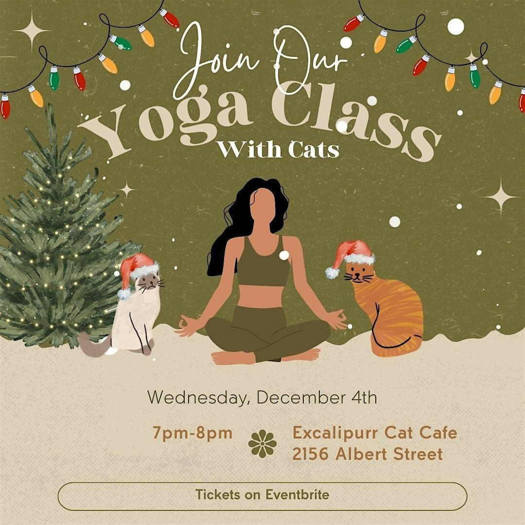 Yoga with cats- December 4th