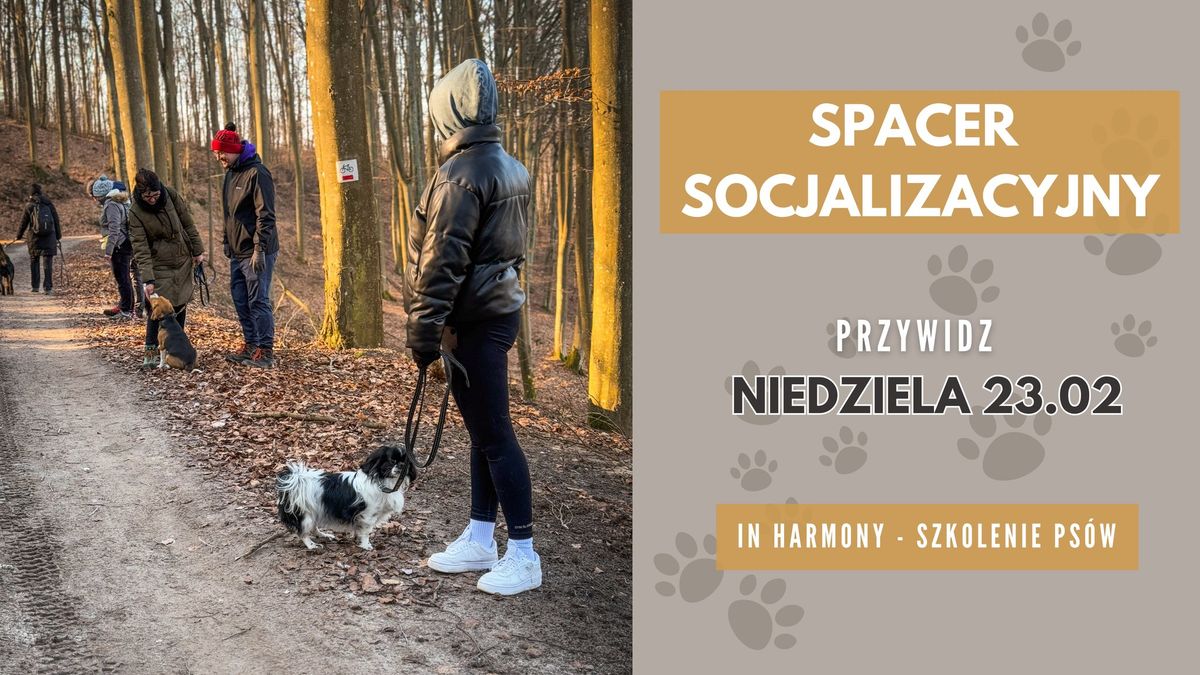 Spacer socjalizacyjny - Przywidz 23.02.2025 r. 