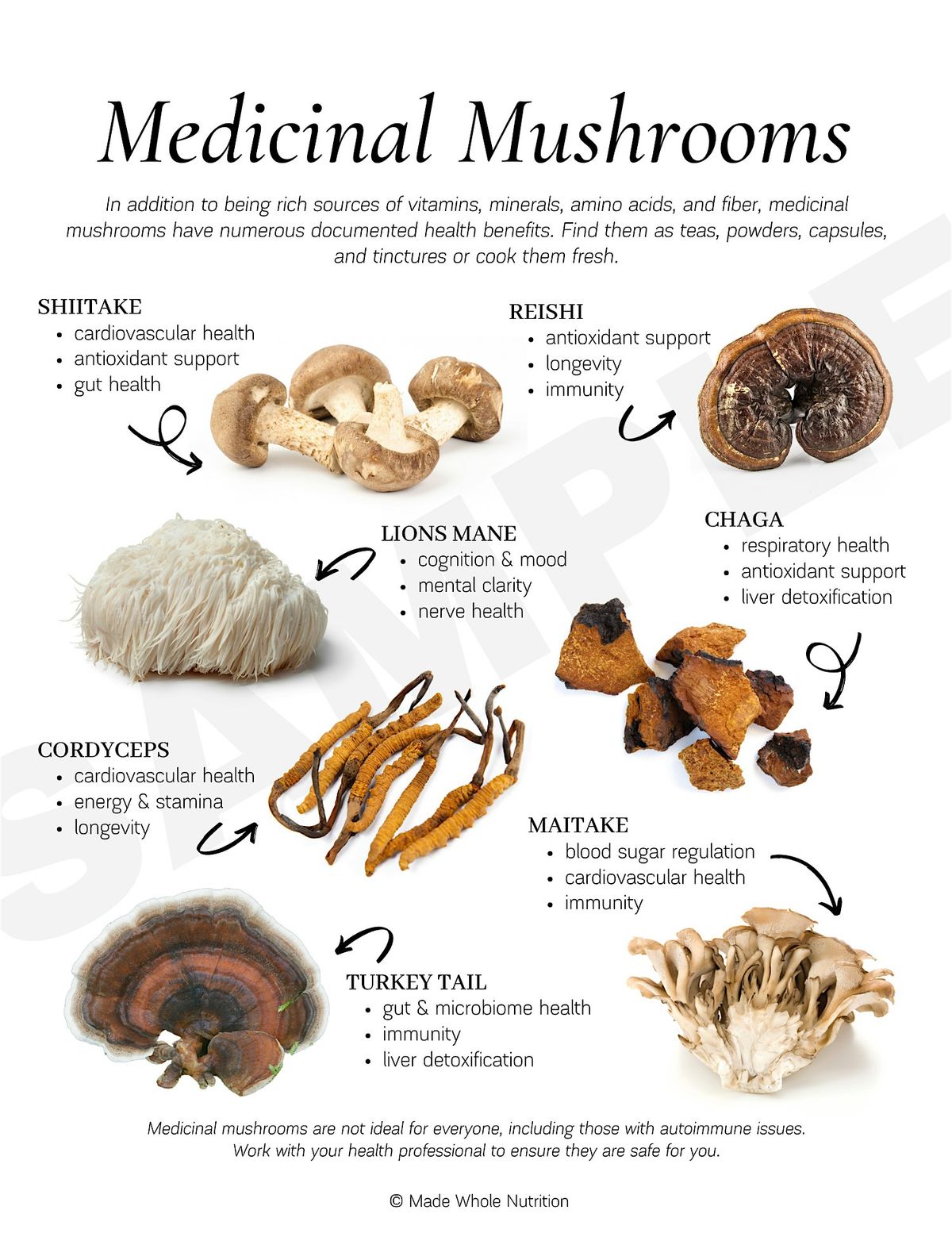 Medicinal Mushrooms Education & Growing Class