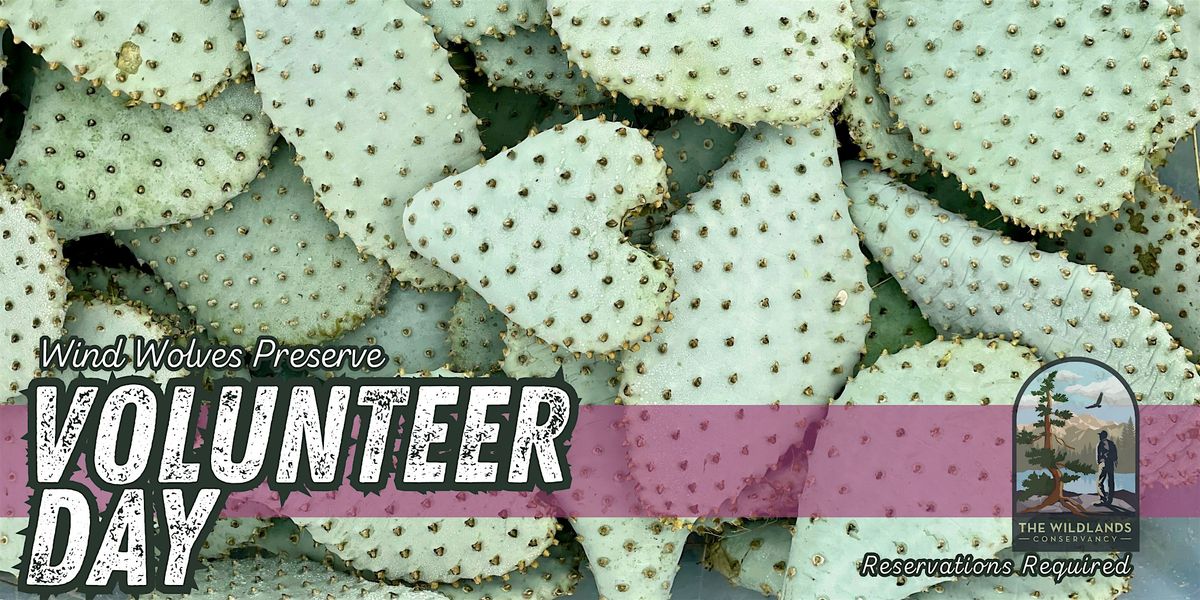 Volunteer Day: Bakersfield Cactus Planting -  Wind Wolves Preserve