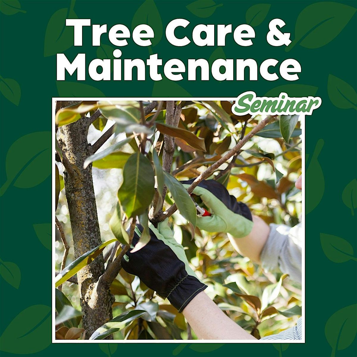 Tree Care & Maintenance Seminar