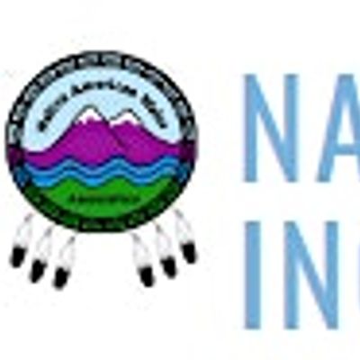 Native American Water Association