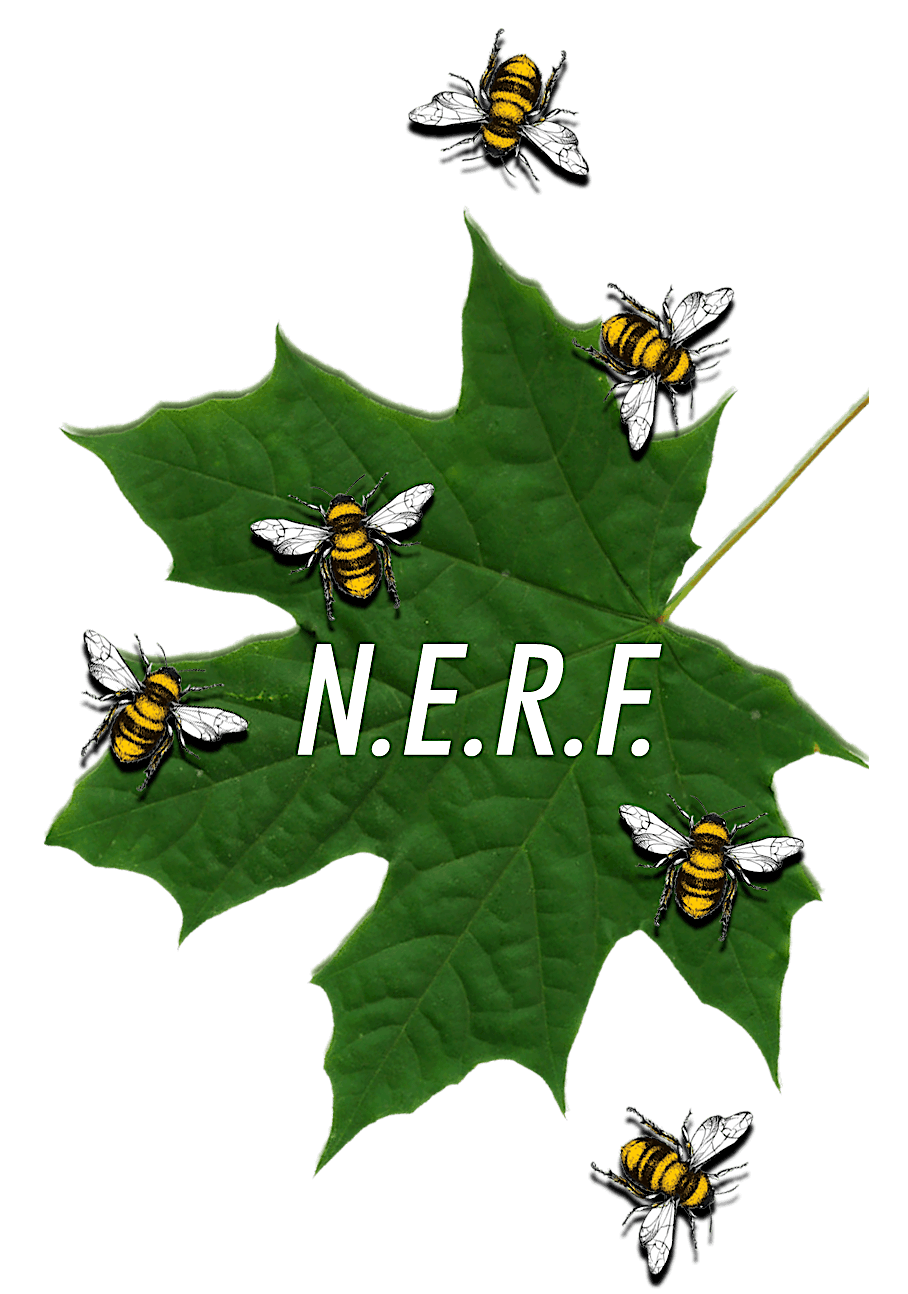 Nature Education Resource Forum (NERF)