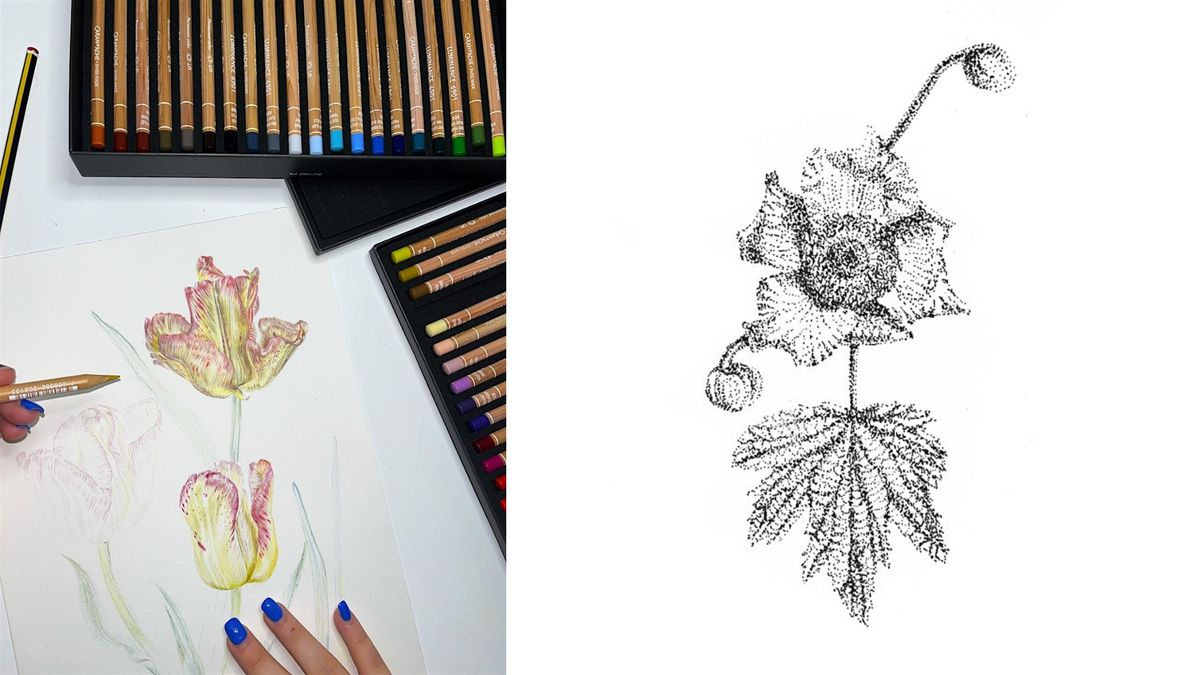 Botanical Drawing 101 with Poppy