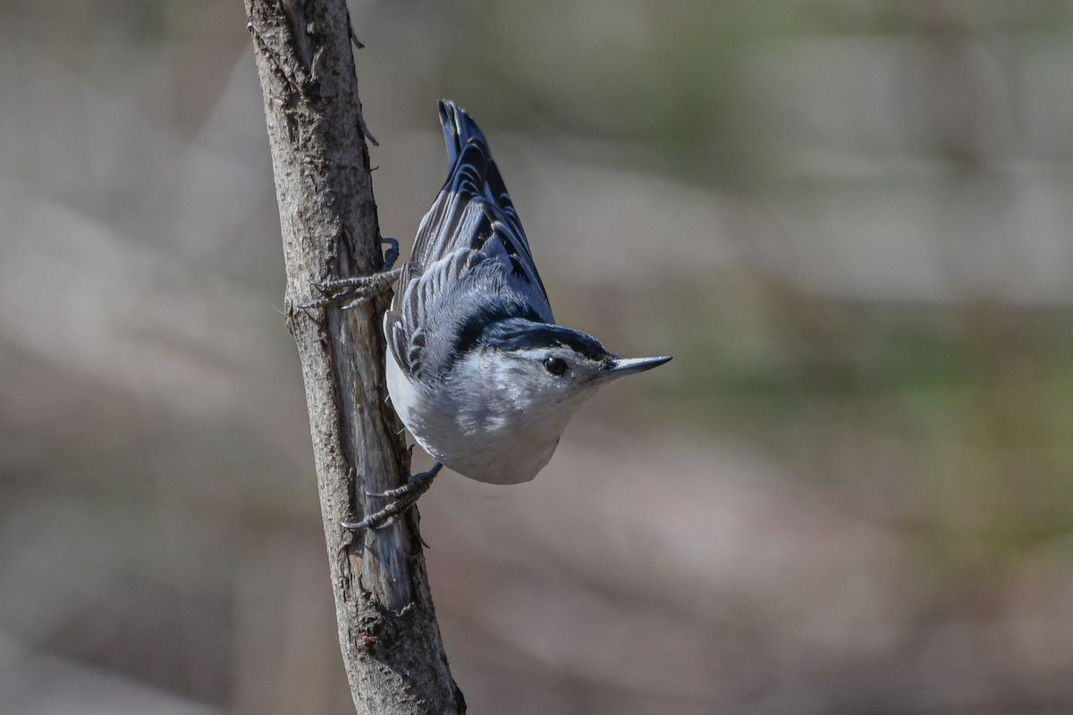 Moraine State Park outing