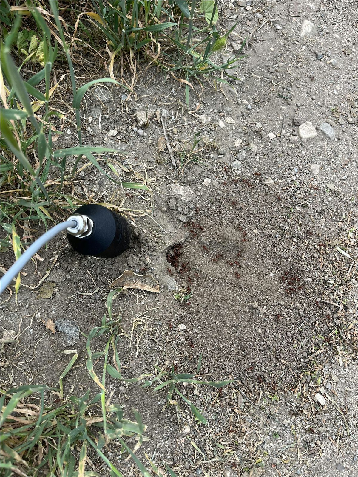 Introduction to Field Recording: Listening to Secret Worlds w\/ Aaron Tupac
