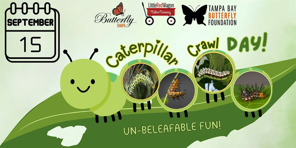 Caterpillar Crawl Day!