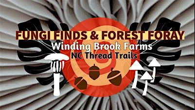 Fungi Finds & Forest Foray