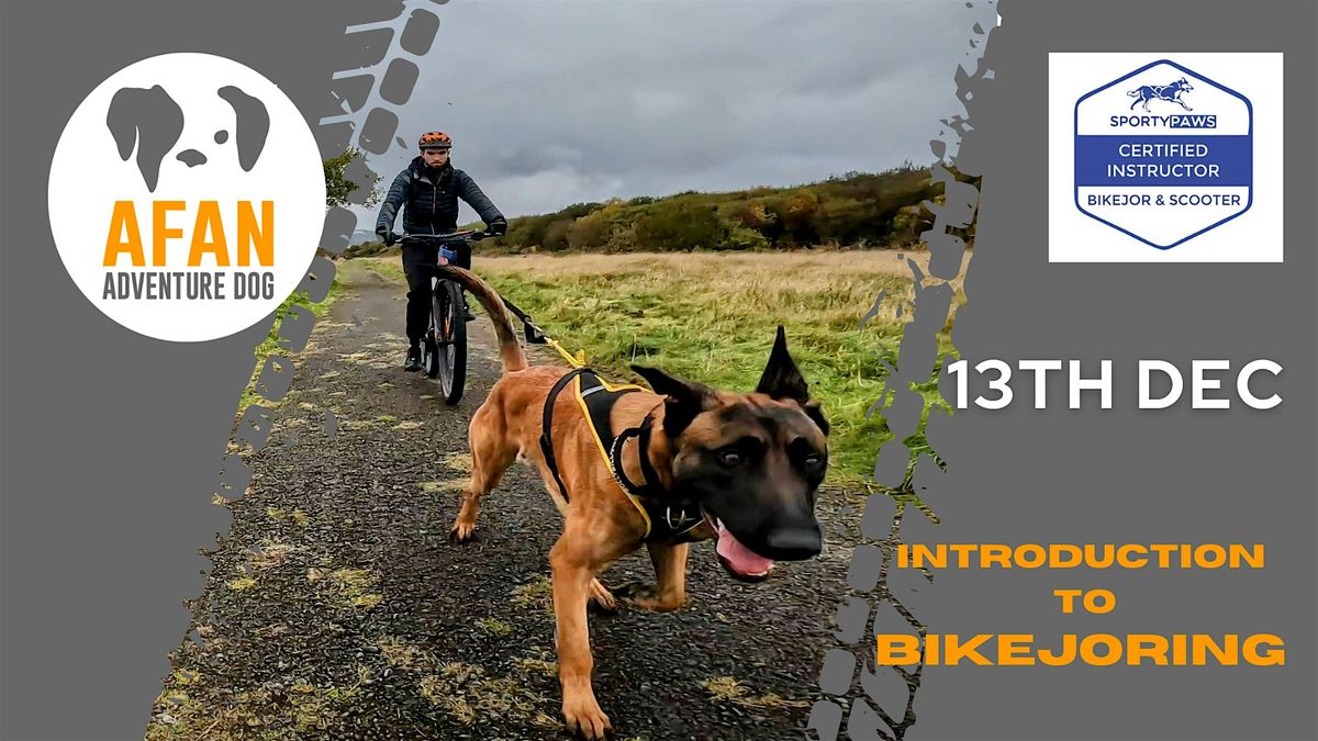 Introduction to Bikejoring & Dog Scootering