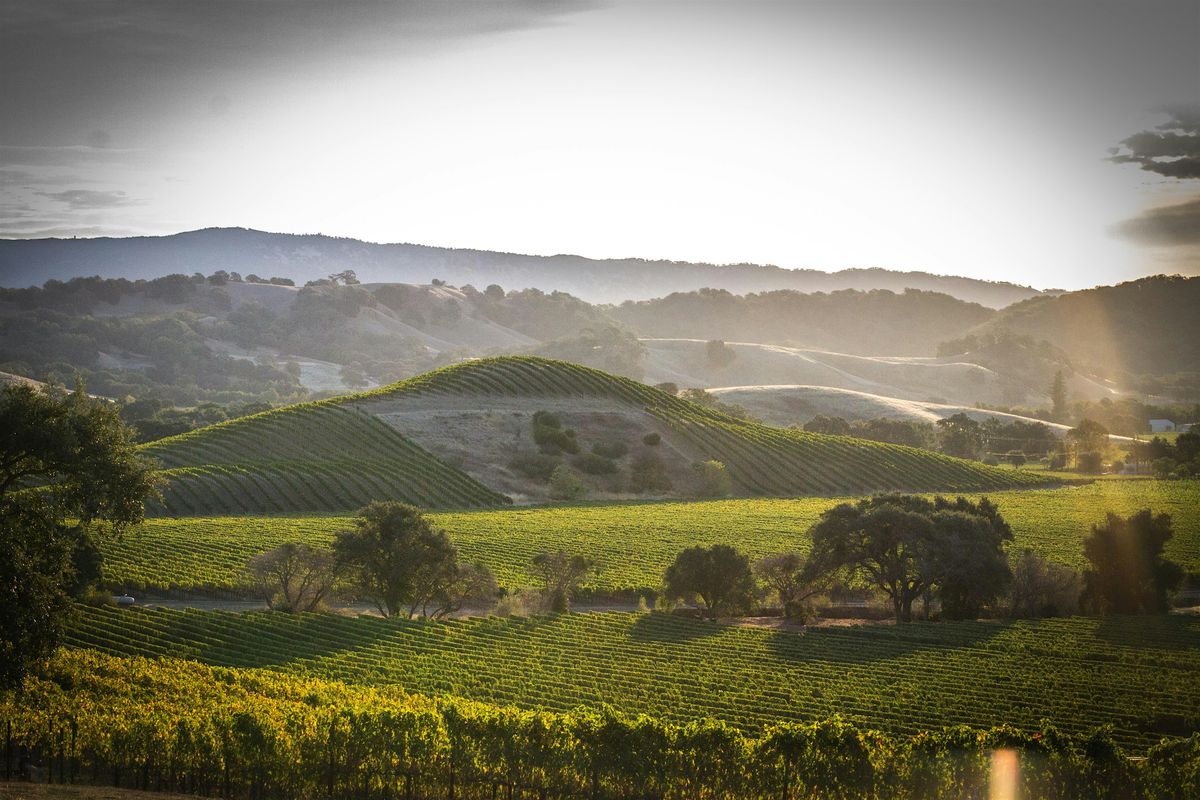 Napa County Pest and Disease Workshop: Field Rodent Control