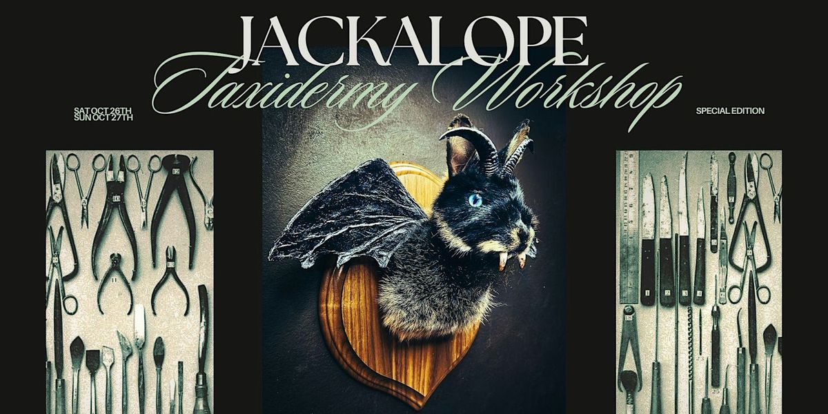 Special Edition: Jackalope Taxidermy Workshop