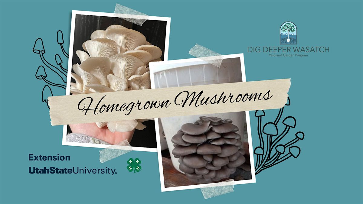 Introduction to Home Mushroom Cultivation