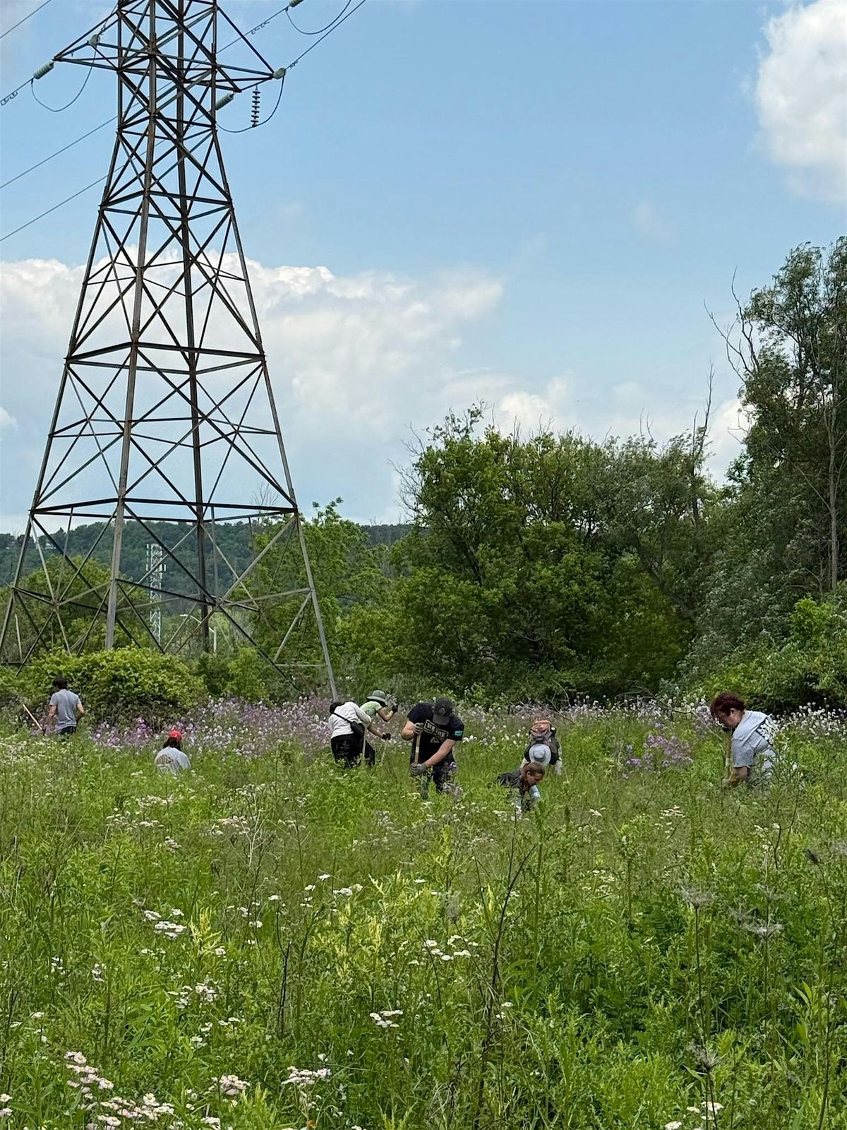 Food Forest Planting