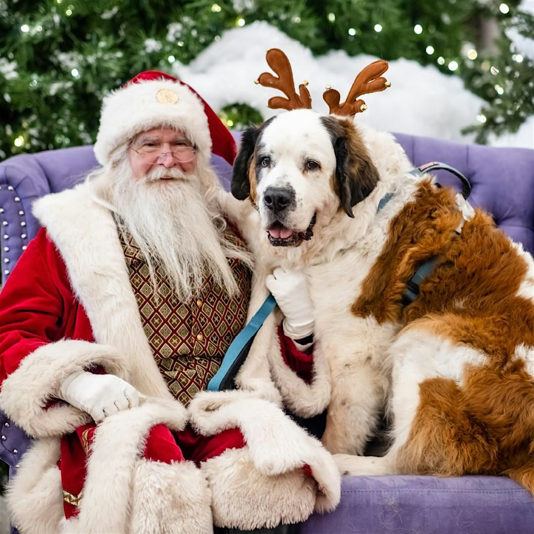 Retrata tu Mascota con Santa