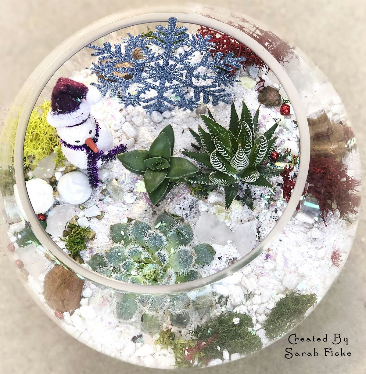 Family Plant Party: Make a Succulent Terrarium