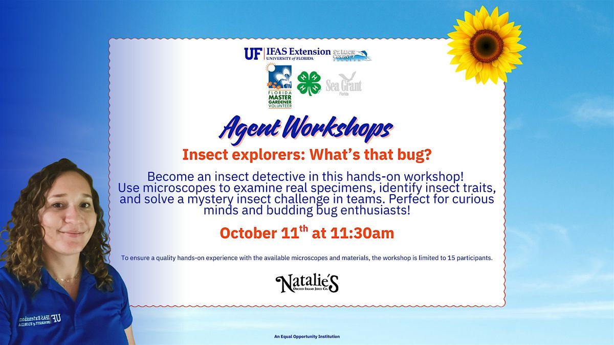 Insect explorers: What\u2019s that bug?