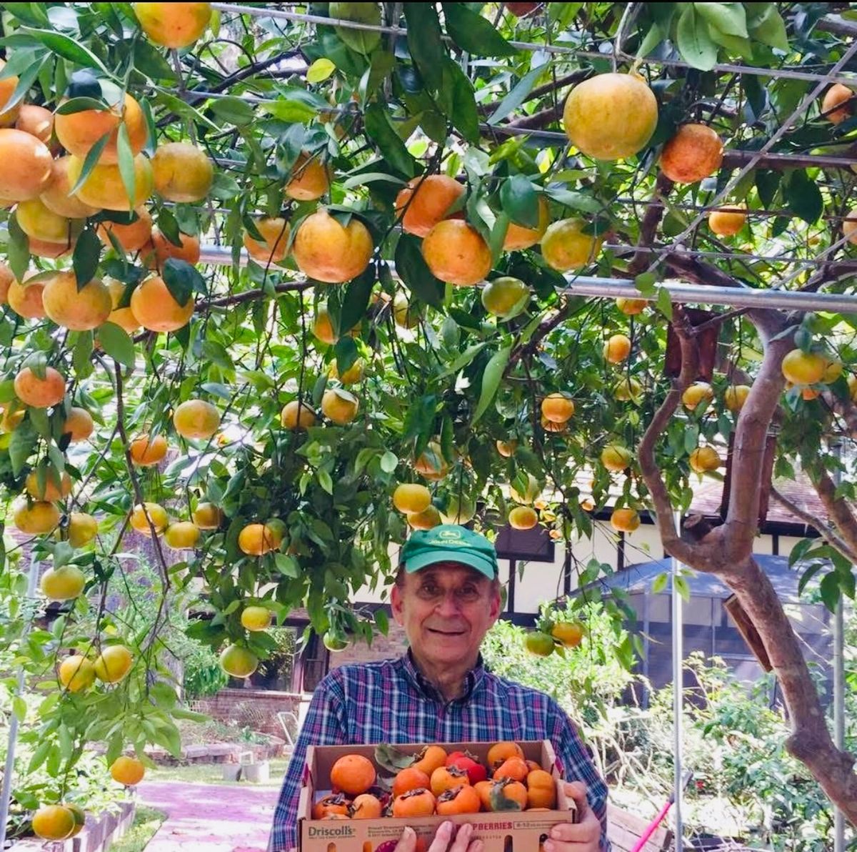 Growing Fruit Trees with John Panzarella