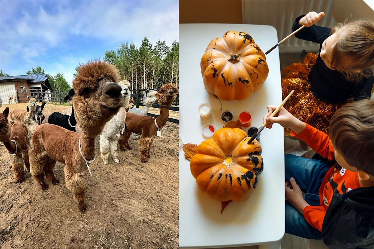 Kids Day at the Alpaca Ranch