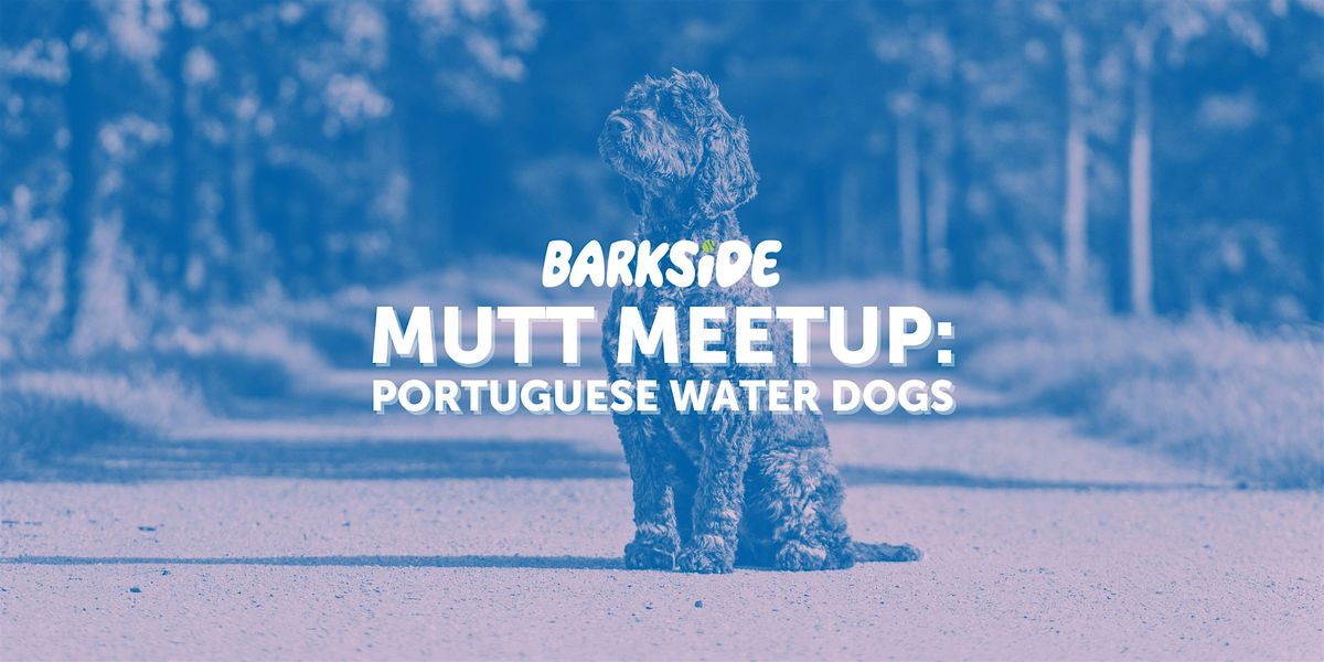 Mutt Meetup: Portuguese Water Dogs