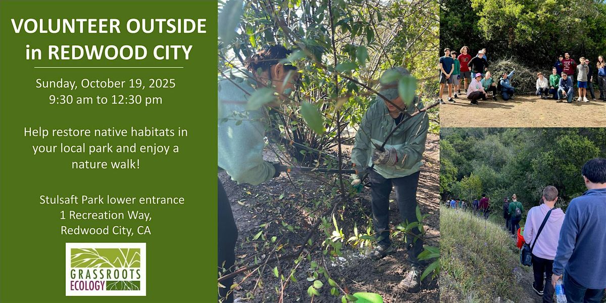 Volunteer in Redwood City:  Stulsaft Park Habitat Restoration