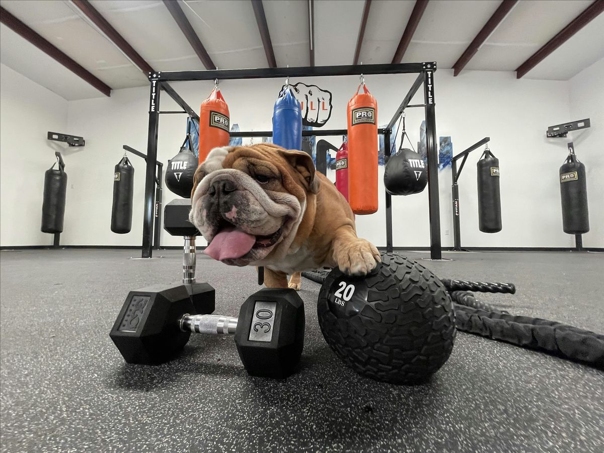 YOGA at Bull Rig Boxing Fitness