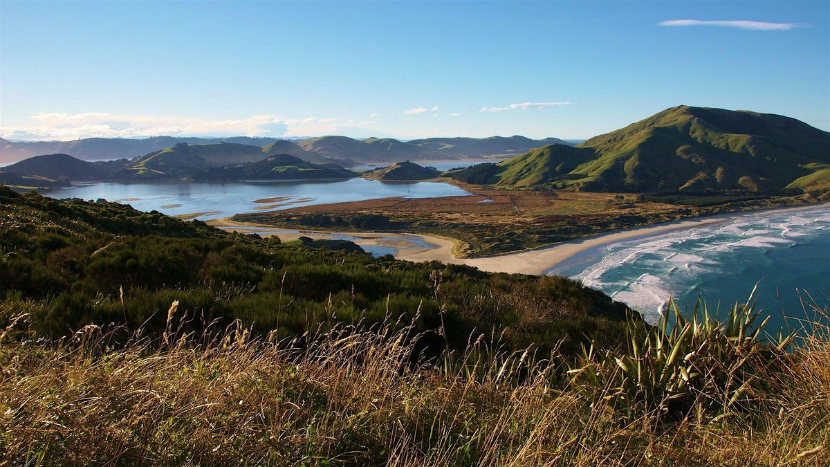 Finding Peace in Troubled Times. Hoopers Inlet, Dunedin Sunday 9th Nov2025