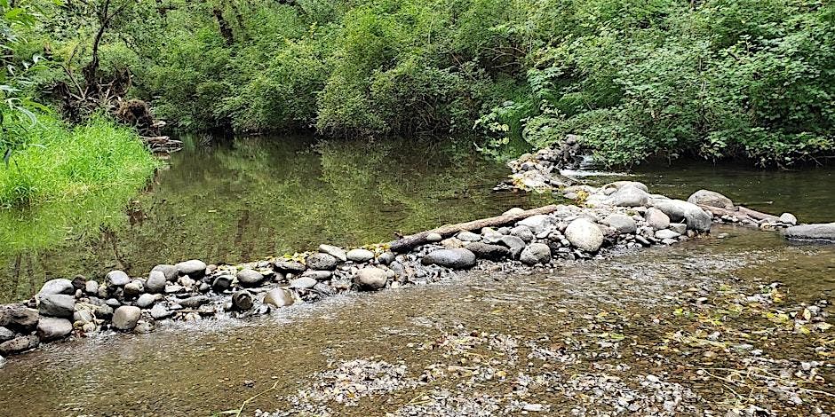 Stream Function Assessment Method 2.0 (SFAM 2.0)