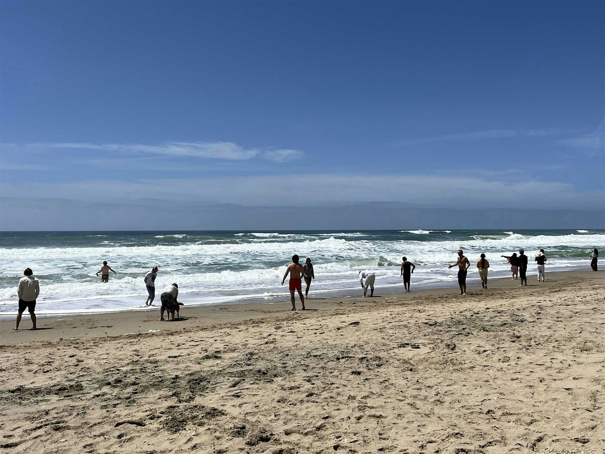 November Sunset Ocean Dance at Ocean Beach