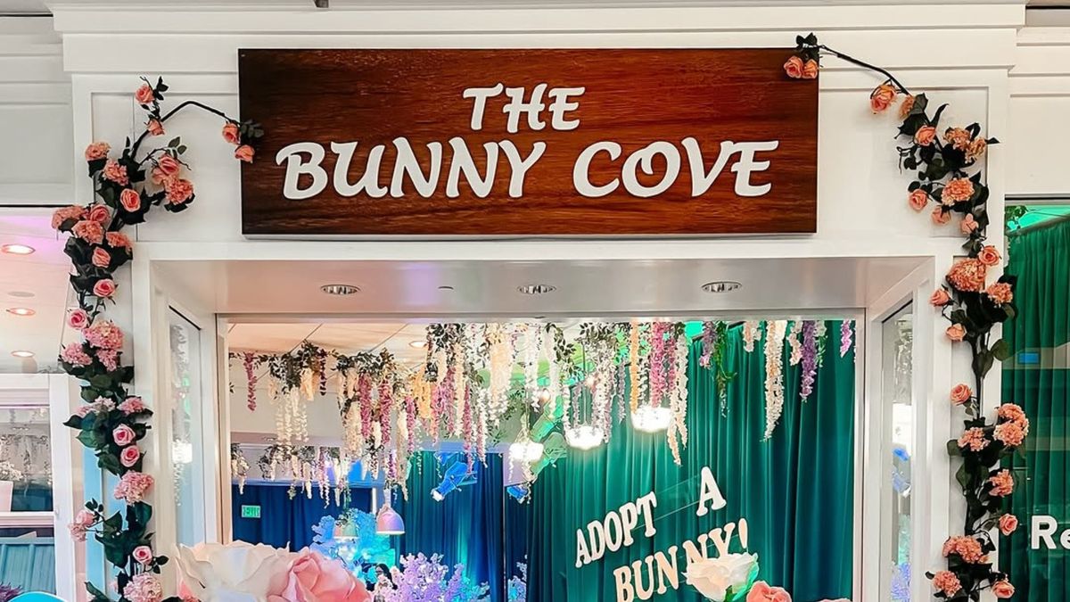 Visit The Bunny Cove