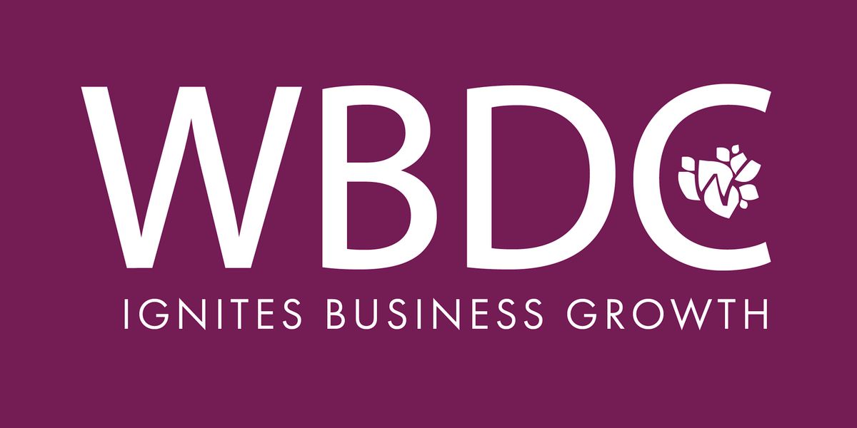 Wisconsin WBDC Small Business Social 2025