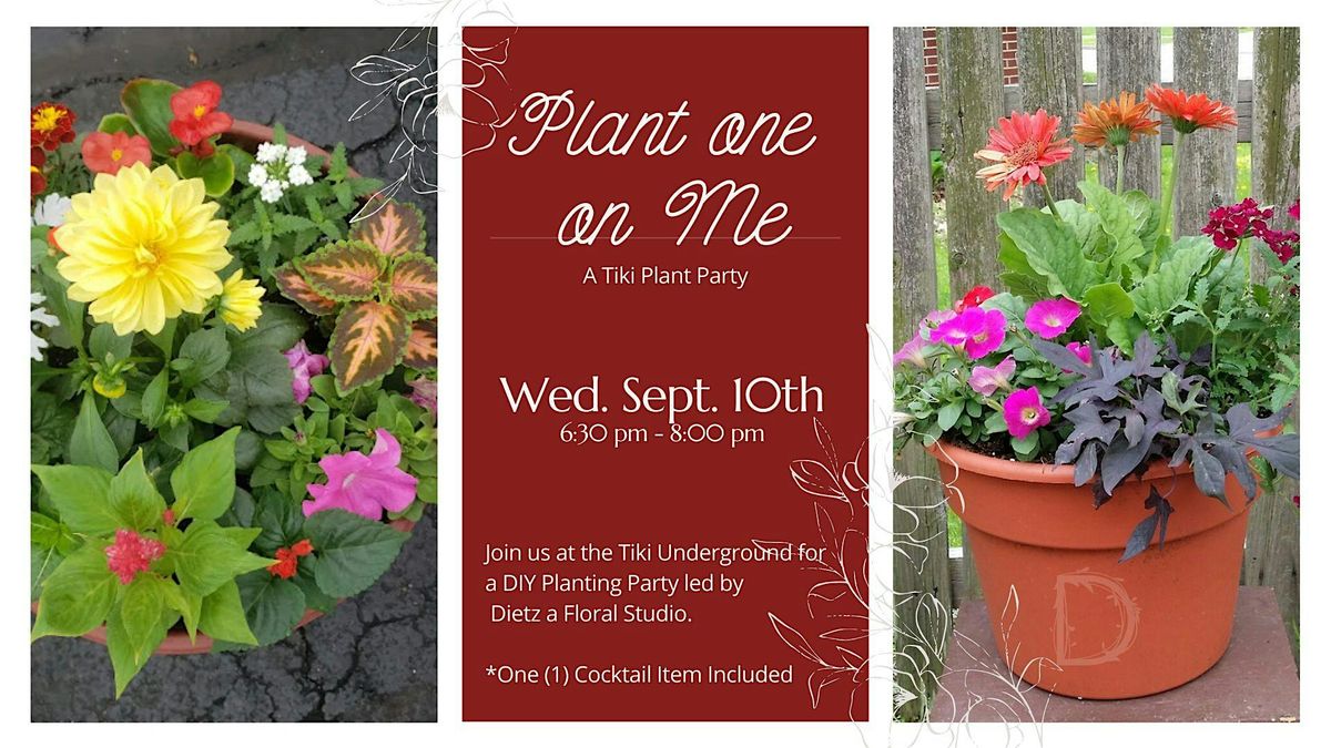 Plant One On Me: A Fall Patio Potting Workshop