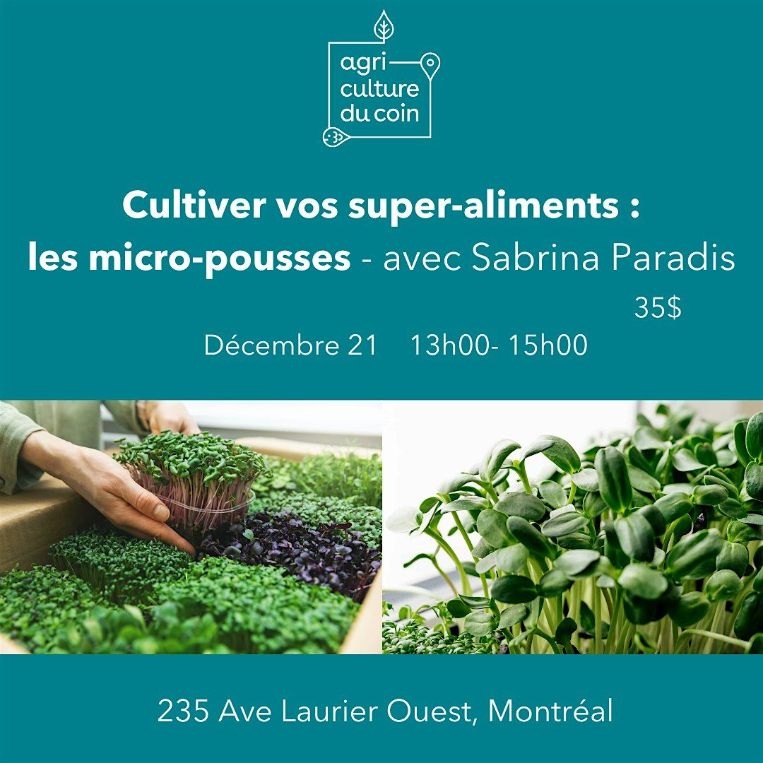 Cultiver vos super-aliments: les micros pousses !