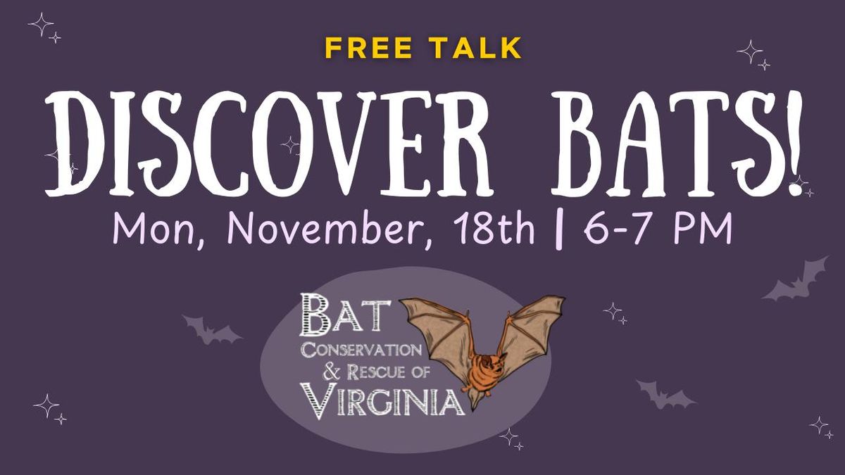 Discover Bats!