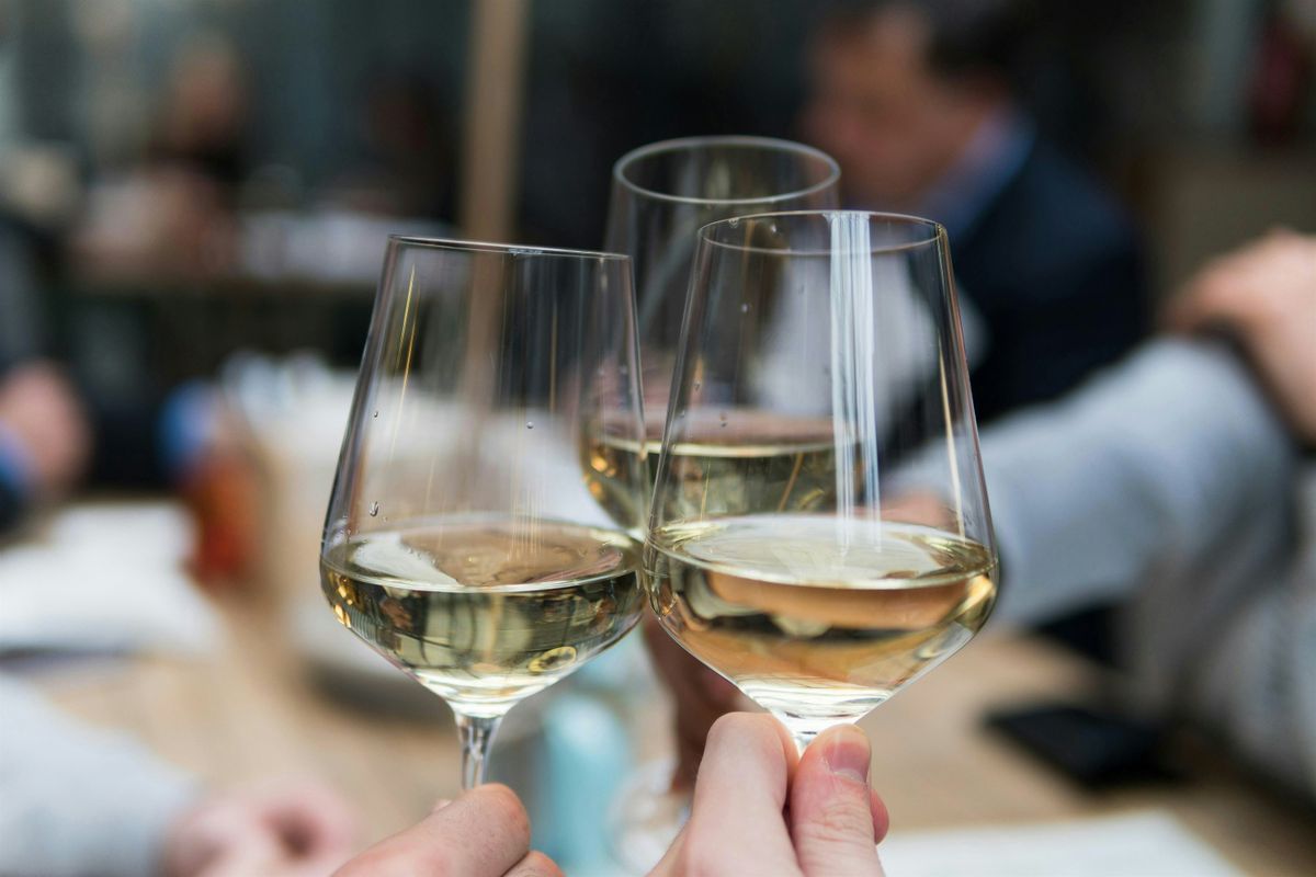 Biodynamic vs. Organic Wine Tasting Class