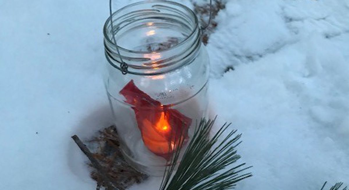 Winter Solstice Forest Therapy Walk