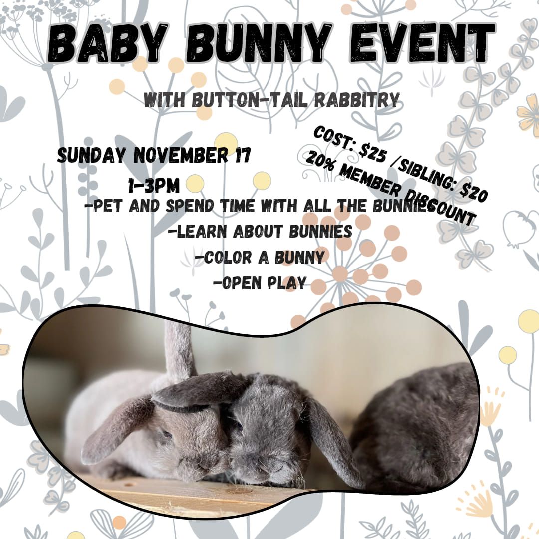 Baby Bunny Visit at Little Hearts Playroom 