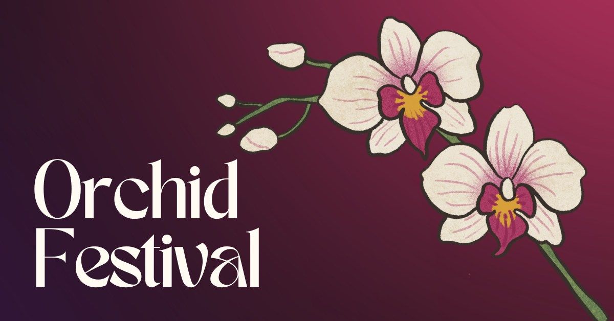 Orchid Festival