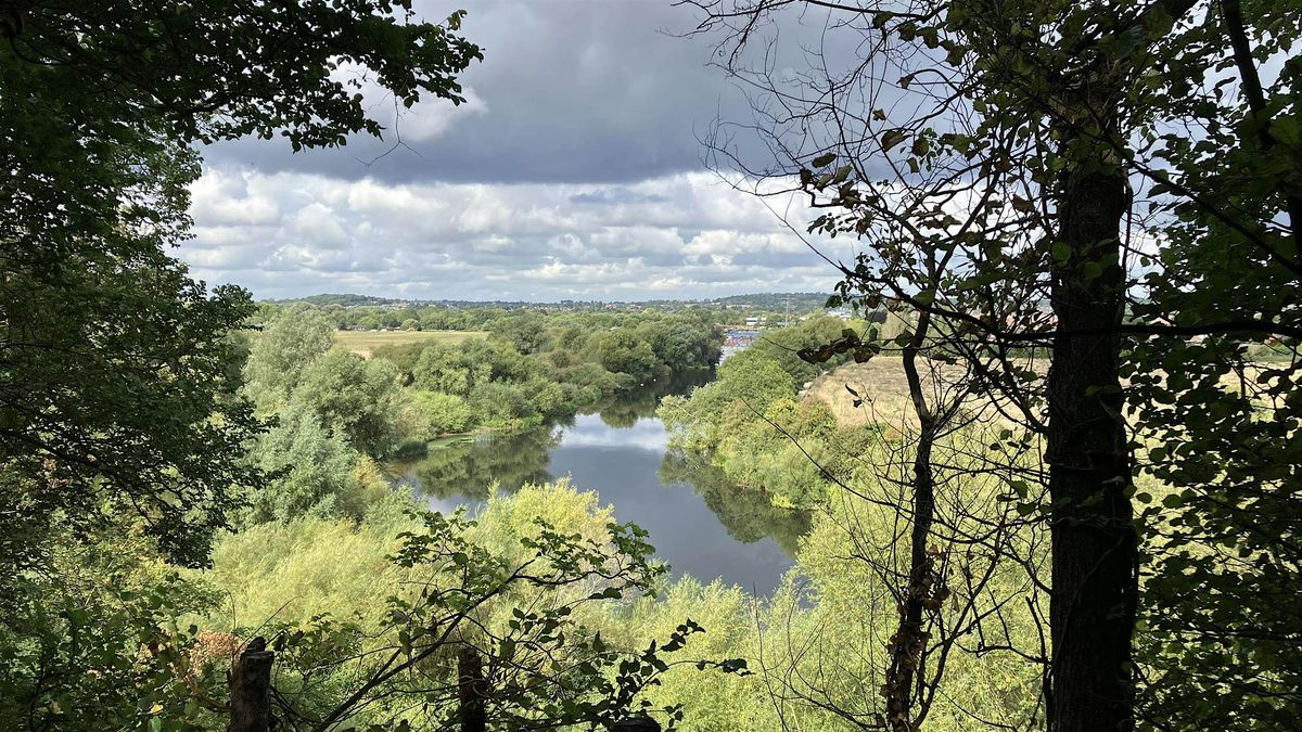 Meditation in the woods & Mindful short walk - Clifton Grove