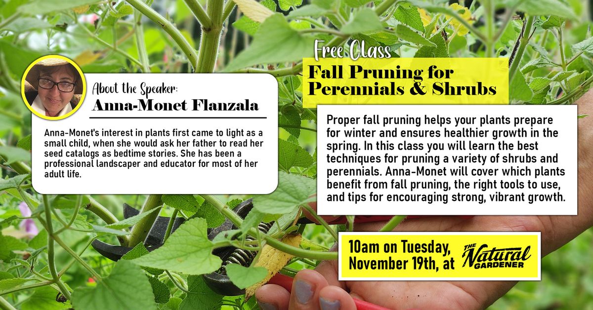 Free Class: Fall Pruning for Perennials and Shrubs 