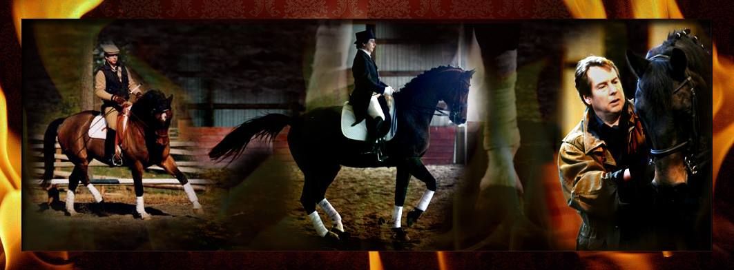 Winter Dressage Camp with Gold Medalist Douglas Puterbaugh 