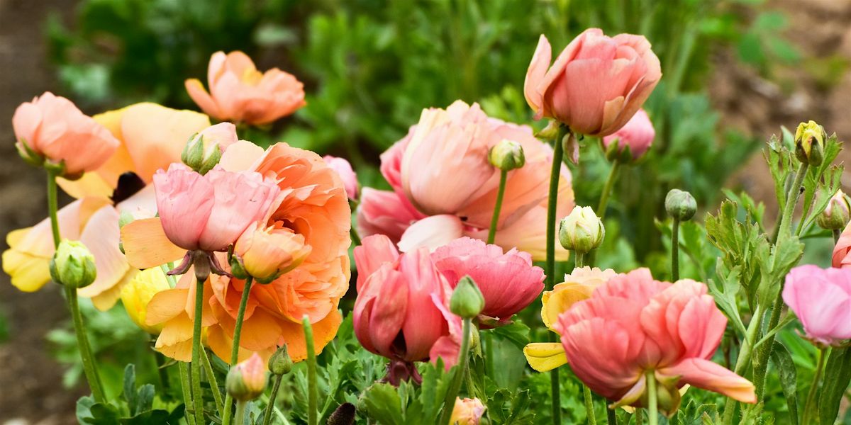Fall Into Flowers: Planning Ahead for a Blooming 2026
