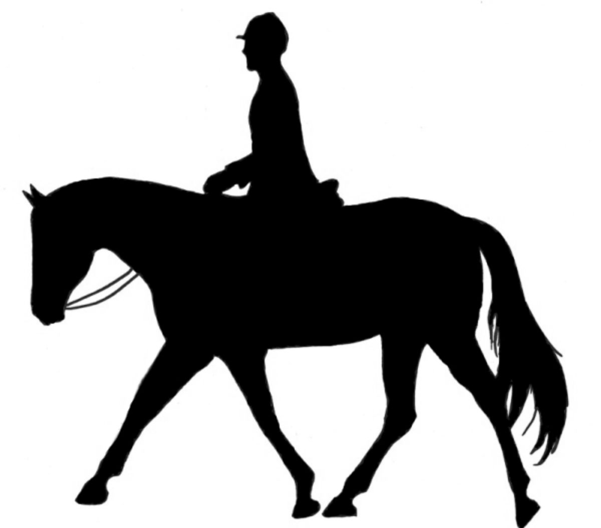 Dressage Saturday 3 August at Twin Trees SG18 9AG   ENTRIES CLOSE 27 JULY
